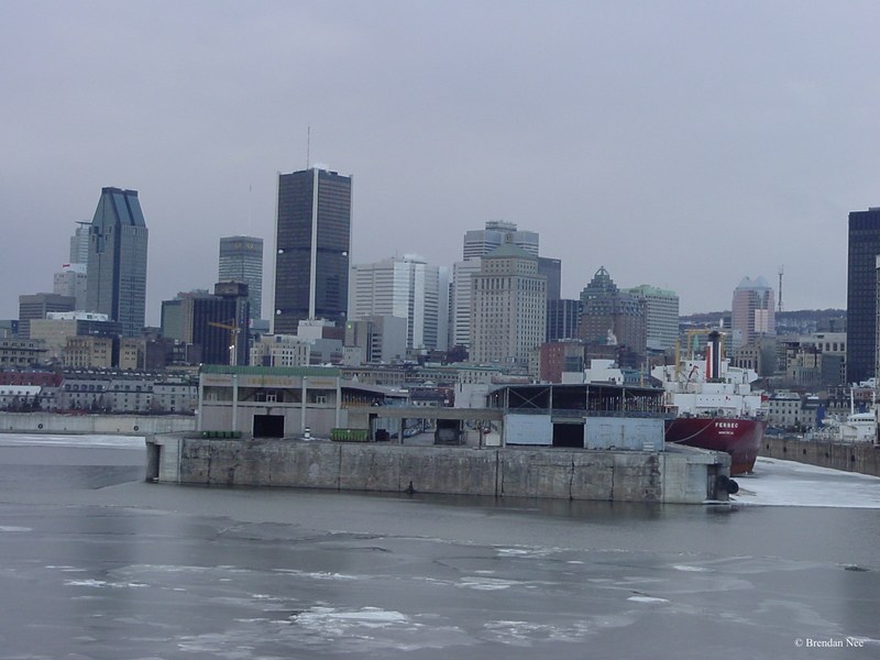 Montreal Skyline - Montreal 3-04 282